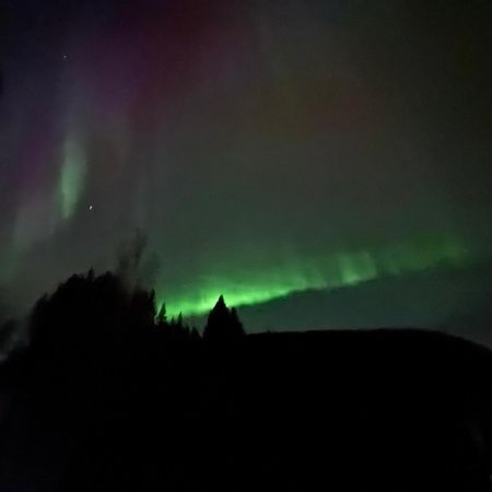 Ett Hus Med 3 Sovrum Med Supersnabba Internet Fiberanslutningen 1000Mb-100Mb I Hoeg, 7 Minuter Fran Hudiksvall Exteriér fotografie