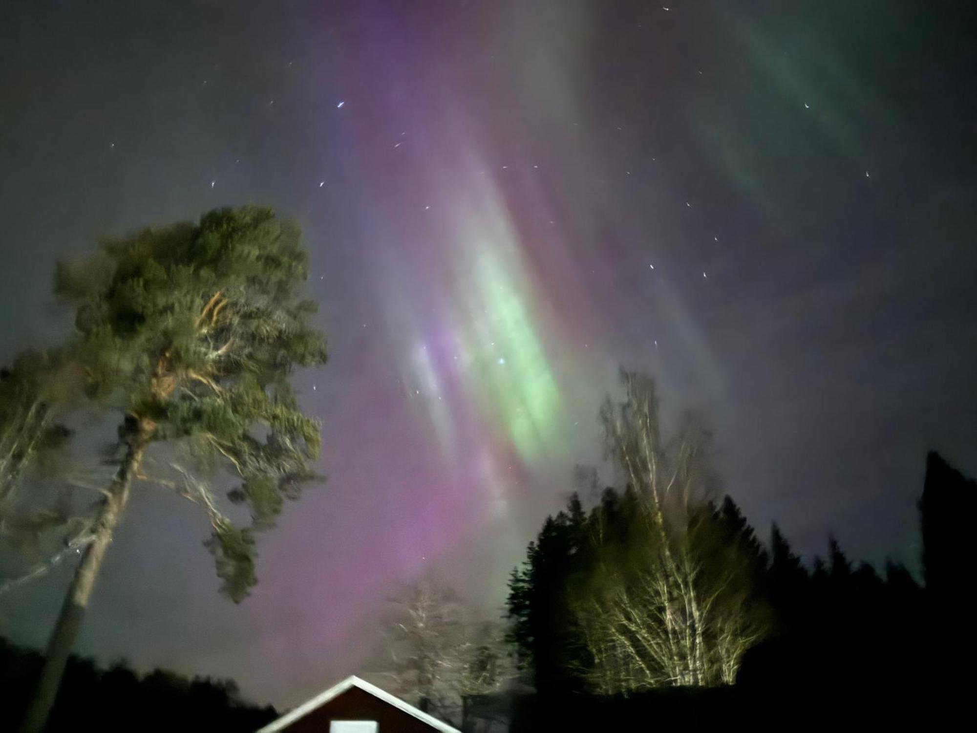 Vila Ett Hus Med 3 Sovrum Med Supersnabba Internet Fiberanslutningen 1000Mb-100Mb I Hoeg, 7 Minuter Fran Hudiksvall Exteriér fotografie