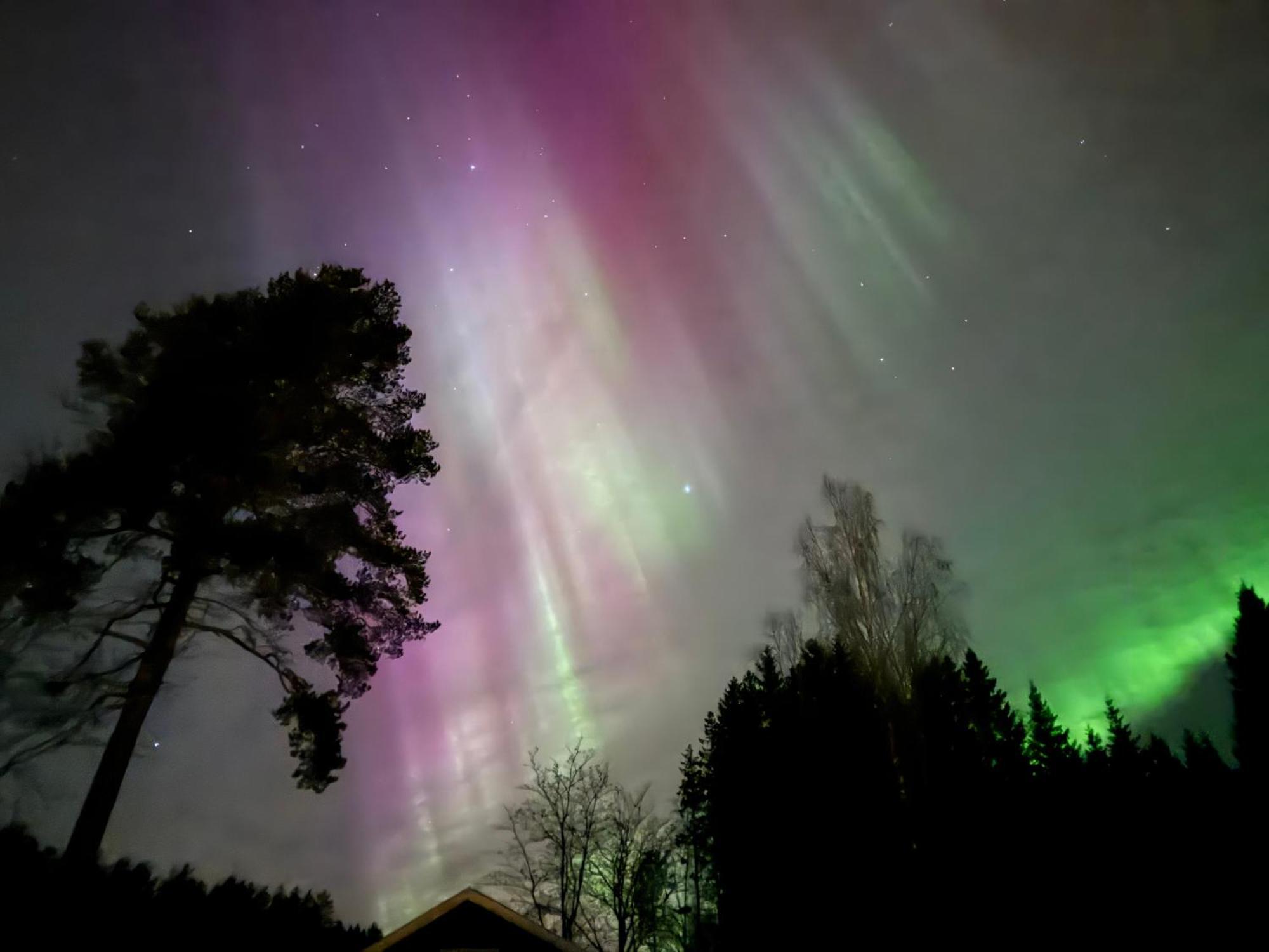 Ett Hus Med 3 Sovrum Med Supersnabba Internet Fiberanslutningen 1000Mb-100Mb I Hoeg, 7 Minuter Fran Hudiksvall Exteriér fotografie