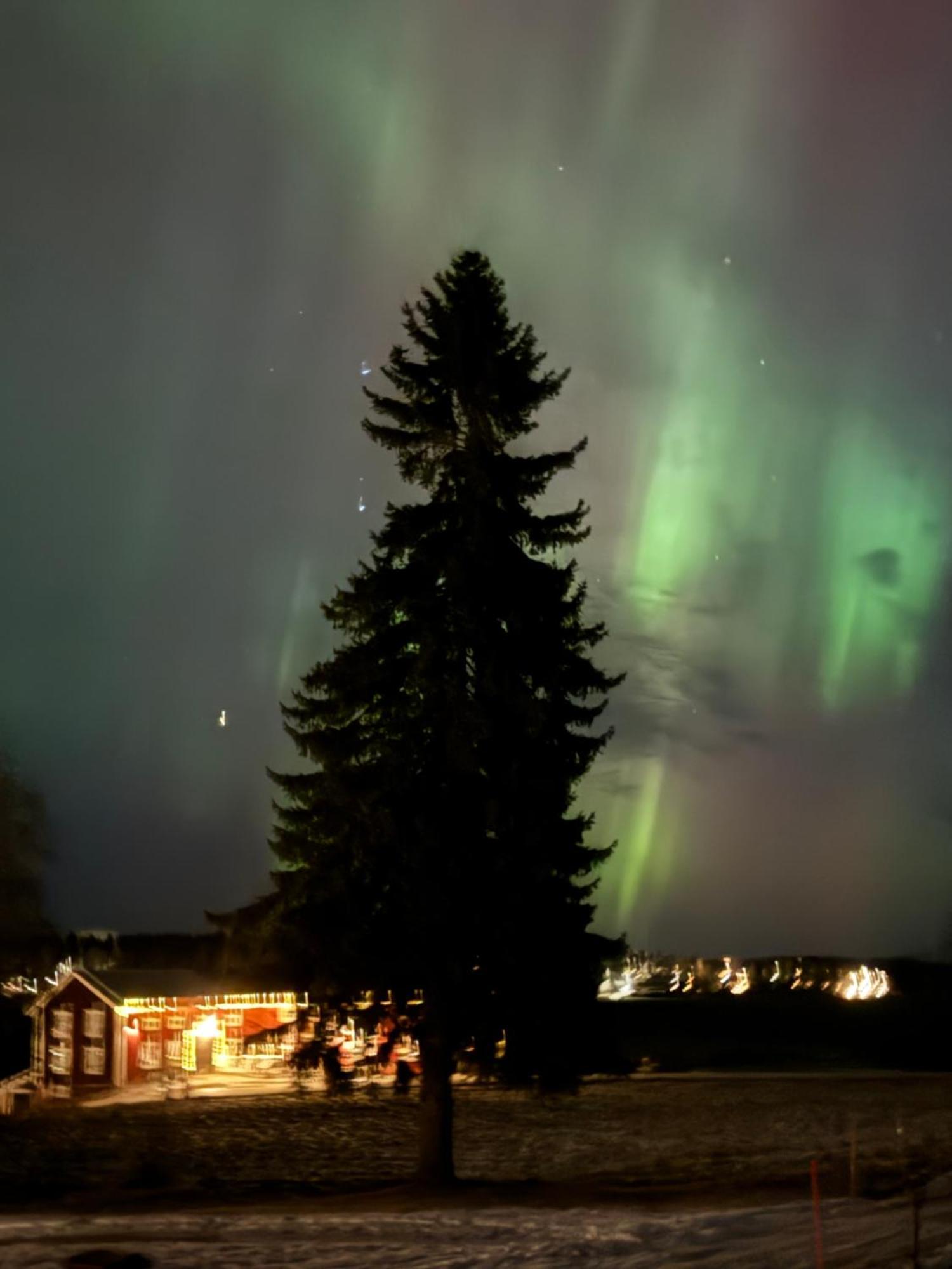 Ett Hus Med 3 Sovrum Med Supersnabba Internet Fiberanslutningen 1000Mb-100Mb I Hoeg, 7 Minuter Fran Hudiksvall Exteriér fotografie