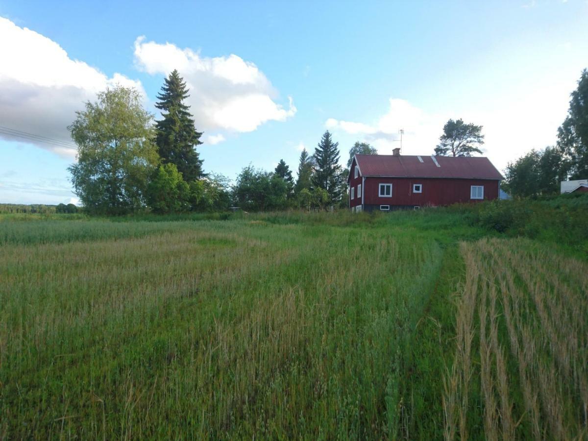 Vila Ett Hus Med 3 Sovrum Med Supersnabba Internet Fiberanslutningen 1000Mb-100Mb I Hoeg, 7 Minuter Fran Hudiksvall Exteriér fotografie