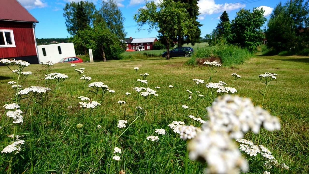 Vila Ett Hus Med 3 Sovrum Med Supersnabba Internet Fiberanslutningen 1000Mb-100Mb I Hoeg, 7 Minuter Fran Hudiksvall Exteriér fotografie