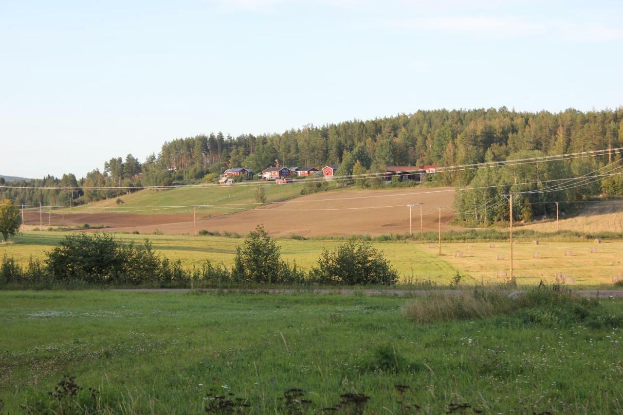 Vila Ett Hus Med 3 Sovrum Med Supersnabba Internet Fiberanslutningen 1000Mb-100Mb I Hoeg, 7 Minuter Fran Hudiksvall Exteriér fotografie